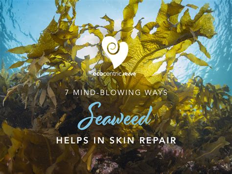 Revitalize Your Skin with Seaweed Stardust: A Journey to Radiance